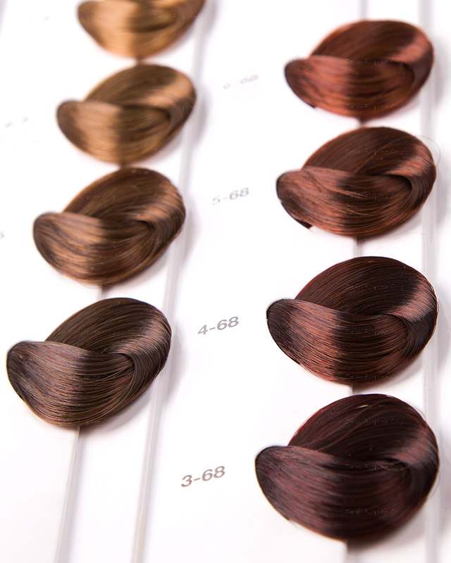 DISTRIBUIDOR DE PELUQUERÍA